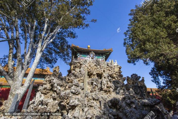 御花园里曾经发生的故事简介(关于御花园的简短小故事50字)