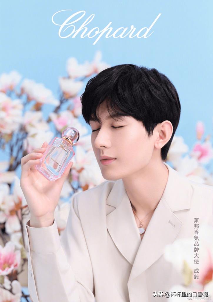 成毅9件不知道的事!(成毅助理傅诗媛图片)