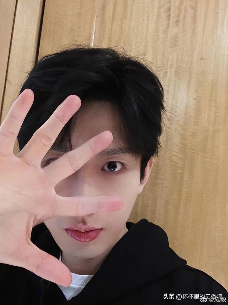 成毅9件不知道的事!(成毅助理傅诗媛图片)