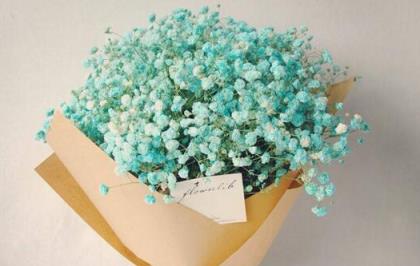 满天星的花语(满天星的花语是什么)