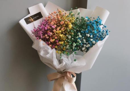 满天星的花语(满天星的花语是什么)