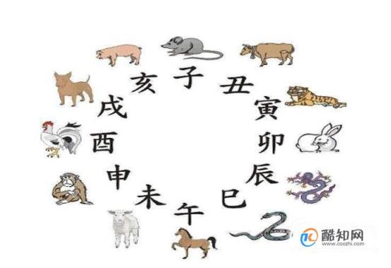 十二生肖对应12时辰(时辰对照表,十二生肖时辰对照表)