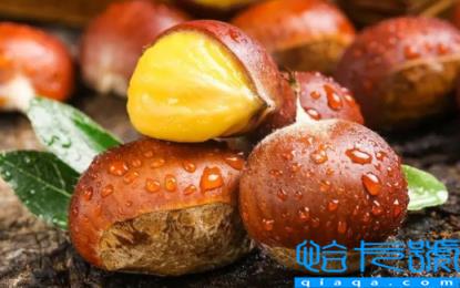 板栗内皮可以吃吗(板栗内皮有什么好处)