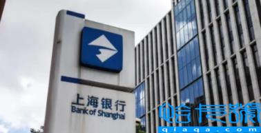 贷款买房银行流水是个人的消费记录吗(买房贷款银行流水不够可以父母担保吗)