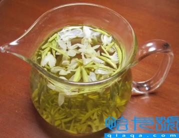 新鲜茉莉花可以直接泡水喝吗(新鲜茉莉花怎么泡水喝正确)