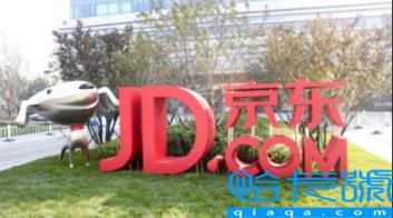 2022京东预售和双十一哪个便宜(在京东买东西是双十一还是预售)