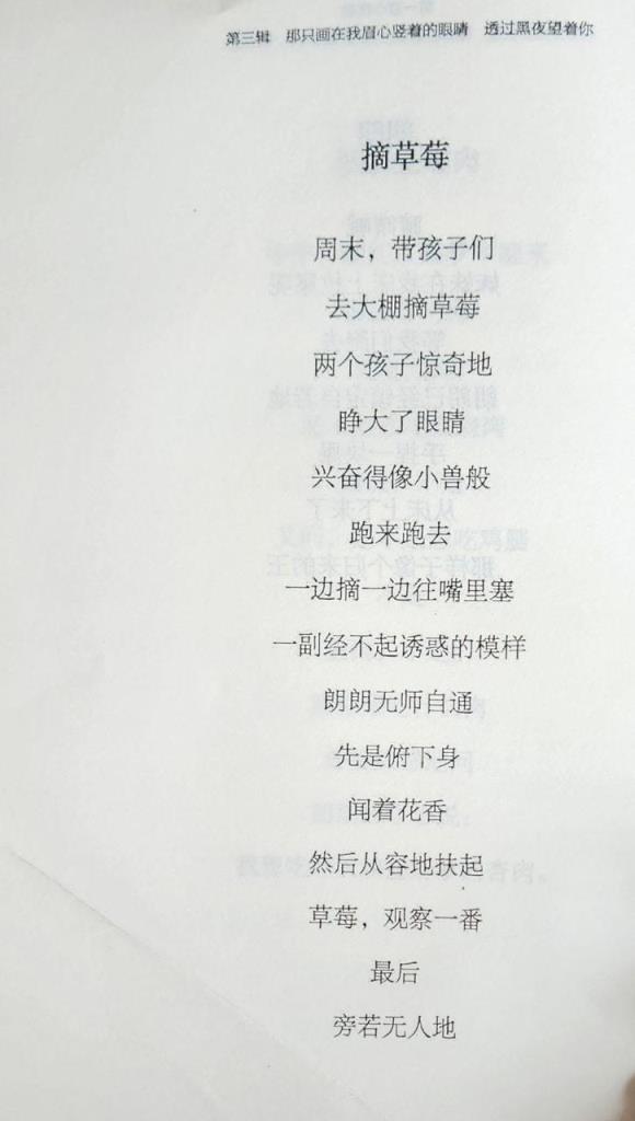 网友对贾浅浅诗的评价(贾浅浅最火的十首诗内容)