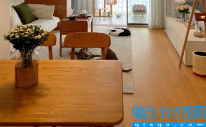 做了接力贷还能买房贷款吗(接力贷买房后能增加共有人吗)