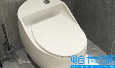 马桶换成蹲坑好换吗(马桶换成蹲坑必须把地面抬高吗)