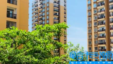 廉租房可以转租吗(廉租房租给别人让人查到了怎么办)