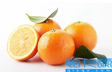 橙子加热后是热性还是凉性(橙子加热后还属于寒凉性水果吗)