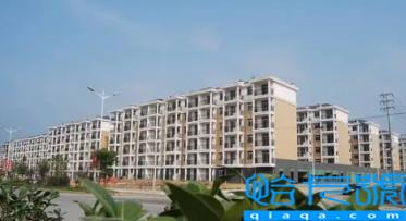 廉租房担保人有风险么(违规申请廉租房有什么后果)