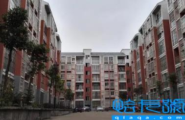 我想申请廉租房需要什么条件(廉租房审核不过需要立即退吗)