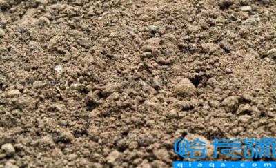 科学家证明吃土可治疗肠炎是真的吗(吃土会对身体有害吗)