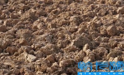 科学家证明吃土可治疗肠炎是真的吗(吃土会对身体有害吗)