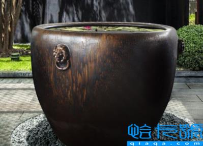 庭院水缸能种铜钱草吗(庭院水缸最适合种什么植物)