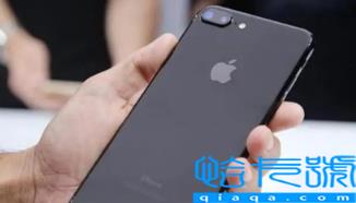 2022京东双十一当天能退款吗(京东双十一退款审核需要多久)