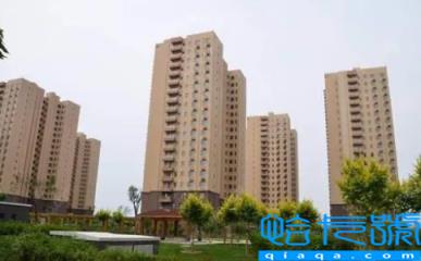 住廉租房能买车吗(住廉租房买车会怎样)