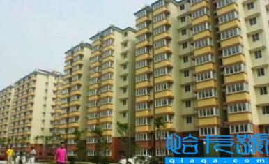 住廉租房能买车吗(住廉租房买车会怎样)