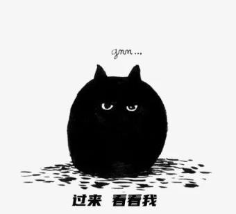 为什么说捡的猫不吉利怎么化解（救了流浪猫其实是猫救了你）