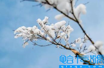 2022年立冬可以去寺庙拜神吗(立冬去寺庙拜神有哪些讲究)