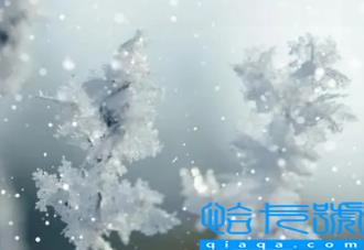 2022年立冬属什么(2022年立冬之日是什么生肖)