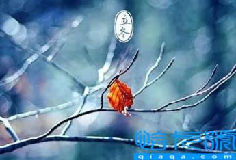 2022年立冬属什么(2022年立冬之日是什么生肖)