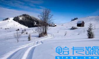 2022年是冬在头还是冬在尾(2022年冬天是几月到几月)