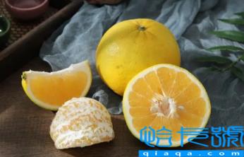 葡萄柚有籽吗(葡萄柚的籽能种吗)