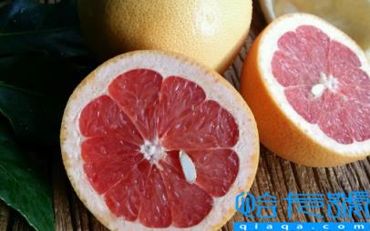 葡萄柚有籽吗(葡萄柚的籽能种吗)
