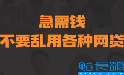 包装黑户贷几十万是真的吗(中介为什么大量收黑户)