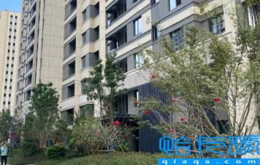 房子没交房是不是业主的呢(没有交房需要交物业费吗)