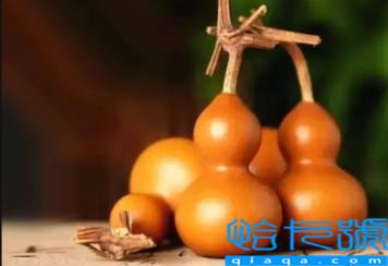 普通葫芦可以挡煞吗(葫芦普通葫芦有灵性吗)