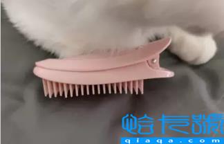 刘海蓬松夹是智商税吗(刘海蓬松夹有用吗)