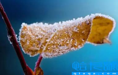 多冷才能叫立冬2022(立冬一般冷到什么程度)