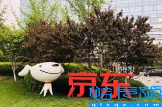 2023京东年货节后还有活动吗(京东年货节后面还有啥活动)