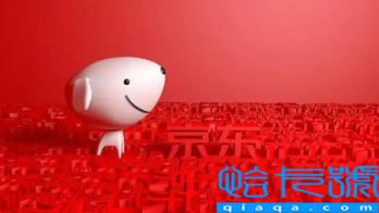 2023年京东有年货节的活动吗(京东年货节持续多久)