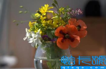 网上买的鲜花要醒花多久(网购鲜花醒花必须用干净的水吗)