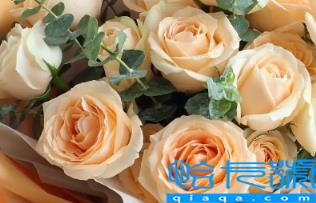 网上买的鲜花要醒花多久(网购鲜花醒花必须用干净的水吗)