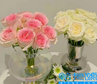 网上买的鲜花醒花后需要再剪根部吗(网购鲜花醒花后怎么处理)