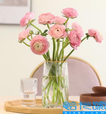 网购鲜花如果不醒花能放多久(网购鲜花醒花后会养的更久吗)