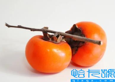 柿子用什么泡好吃又脆不涩口(柿子怎么泡才脆甜好吃)