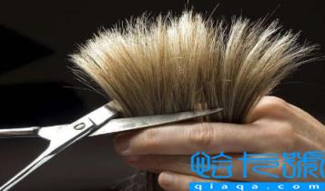 2023小年后可以剪头发吗(趣丁网)