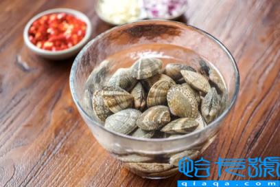 花甲焯水为什么用开水(花甲焯水有什么作用)