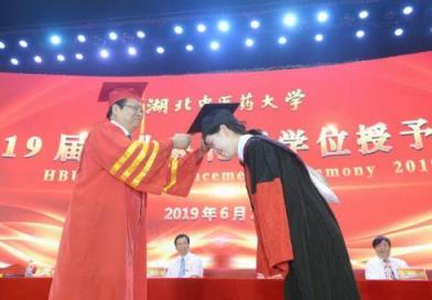 临床医学专博与学博的区别(学博和专博哪个含金量高)