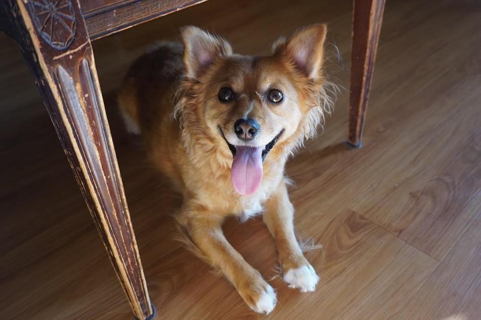 佳能和索尼相机哪个好知乎（新手买佳能还是索尼）