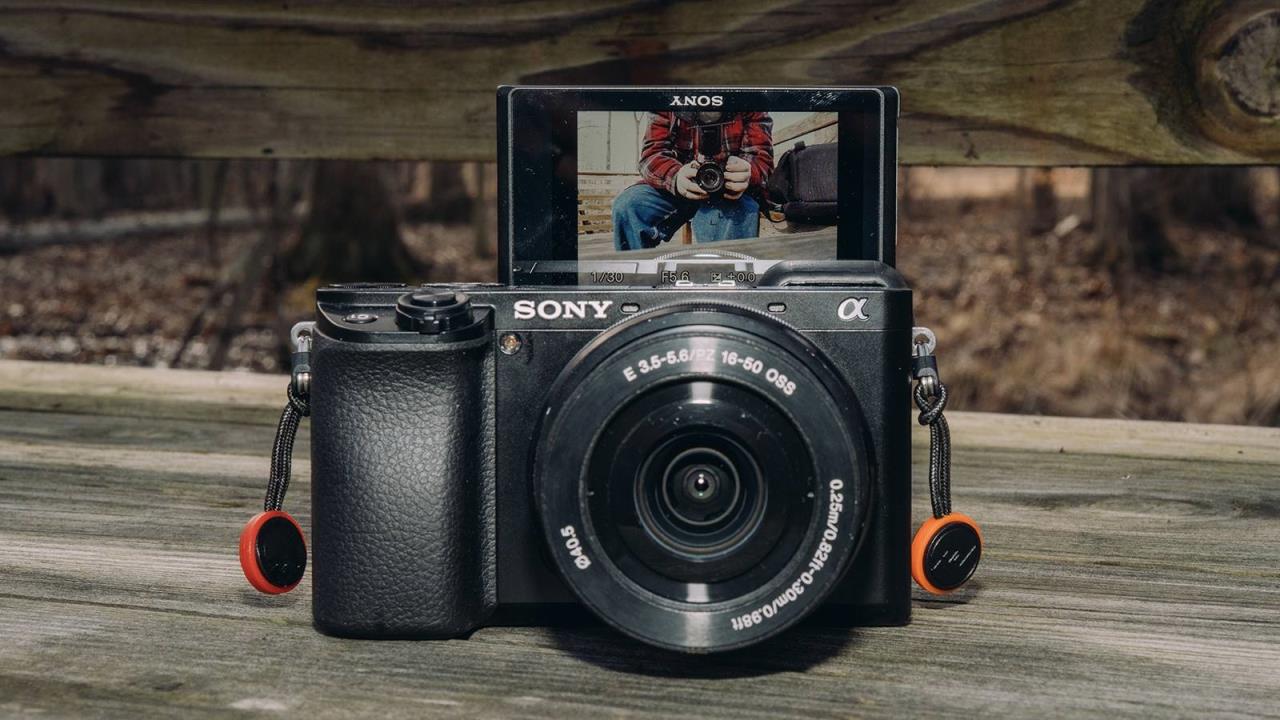 佳能和索尼相机哪个好知乎（新手买佳能还是索尼）