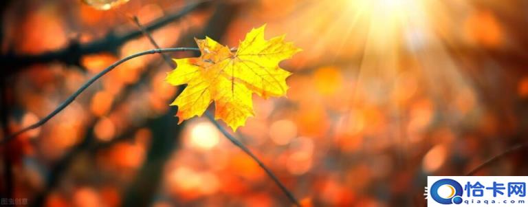 山药怎么做好吃(山药的做法大全)