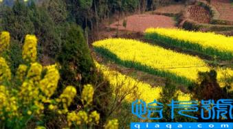 2023年闰二月几年一遇(闰二月是大月还是小月)