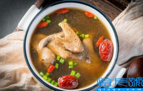 鸽子汤的营养在汤里还是肉里(鸽子汤是汤有营养还是鸽子肉有营养)